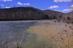 DEP investigates mine blowout that sends acidic drainage into Muddy Creek, Cheat River